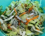 白菜が美味しい♪もりもり野菜の昆布締め作り方12写真