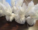 寒風あてて　柚餅子を作る作り方7写真