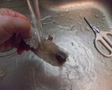 愛知の魚!?オオグソクムシの下処理作り方7写真