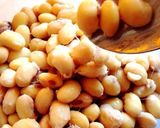 ホームベーカリーで！自家製納豆作り方10写真
