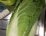 酵素たっぷり白菜の浅漬け作り方1写真