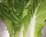 酵素たっぷり白菜の浅漬け作り方2写真