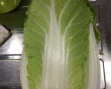 酵素たっぷり白菜の浅漬け作り方3写真