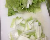 酵素たっぷり白菜の浅漬け作り方5写真