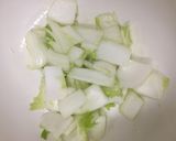 酵素たっぷり白菜の浅漬け作り方6写真