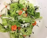 酵素たっぷり白菜の浅漬け作り方10写真