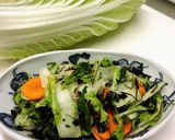 酵素たっぷり白菜の浅漬け作り方13写真