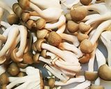 調味料同量で簡単！豚肉としめじの生姜炒め作り方2写真