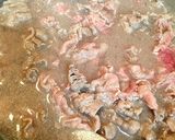 ☆白菜牛丼の目玉焼きのせ☆作り方1写真