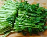 簡単✿副菜♬小松菜ともやし 豆苗のお浸し作り方3写真