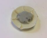 和のスイーツ〜餃子の皮で簡単お焼き〜作り方4写真