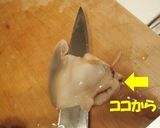 ホッキ貝の刺身＆湯引き作り方5写真