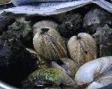 デッ、貝っ作り方1写真