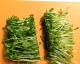 ママ喜ぶ！カンタン豆苗deリースサラダ作り方3写真