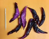 ママ喜ぶ！カンタン豆苗deリースサラダ作り方5写真