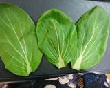おせち⏹️鶏の葉包み蒸し(チンゲン菜)作り方1写真