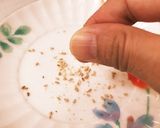 鳥ささみの梅肉あえ作り方5写真