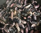 思い立ったらコーヒー花豆作り方1写真