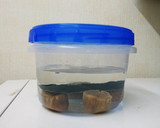 ホタテの干し貝柱と大根の炊き込みご飯♪作り方1写真