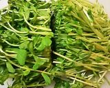 ボールだけで簡単！豆苗とツナのサラダ作り方2写真