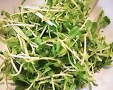 ボールだけで簡単！豆苗とツナのサラダ作り方5写真