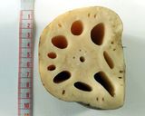 ご飯が美味しい♪鶏肉と蓮根の甘辛照り焼き作り方1写真