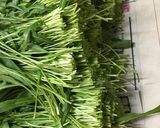 京野菜 壬生菜の樽漬け作り方1写真