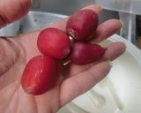 野菜の酒麹みそ漬け　トマト入り作り方2写真