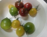 野菜の酒麹みそ漬け　トマト入り作り方3写真