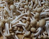 簡単❃キャベツと きのこのトマト煮❃作り方2写真