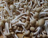 簡単❃キャベツと きのこのトマト煮❃作り方2写真