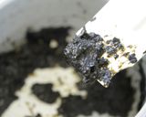【万能調味料①】海苔”塩”ペースト作り方5写真