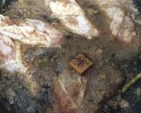 洋風チキンのコーラ煮作り方3写真