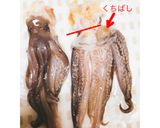 照りっ照り♪屋台風イカの丸焼き作り方4写真