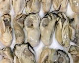 基本の牡蠣フライ作り方3写真