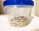自家製酵母の捏ねないスティックパン作り方1写真