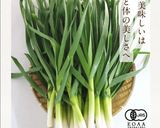 簡単、白身魚と葉にんにくパスタ(^o^)作り方6写真
