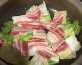 豚バラと白菜のワサビ鍋作り方2写真