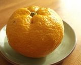 柚子風味 白菜と人参の甘酢醤油漬け作り方11写真