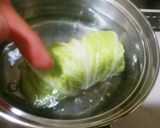 犬ご飯 ロール白菜作り方6写真