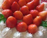 簡単！誰でもできるクリスマスケーキ作り方8写真