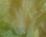 さっぱりキャベツの手巻き酢の物作り方5写真