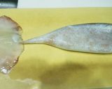 ゆずがたっぷり入った自家製イカの塩辛作り方7写真