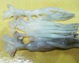 ゆずがたっぷり入った自家製イカの塩辛作り方13写真