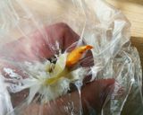 ホワイトデー＊簡単♪チョコがけ芋けんぴ作り方5写真
