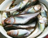 ハタハタの醤油煮♪ブリコがプチねばウマー作り方1写真