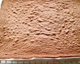 バレンタイン♡チョコロールケーキ作り方11写真