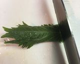 とっても簡単！和風明太子パスタ作り方7写真