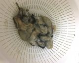 シンプルisベスト！牡蠣めし！！作り方1写真