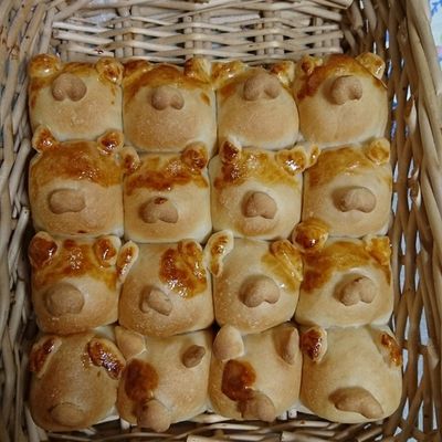 柴犬ちぎりパン&きゅうす